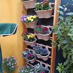 Hébergement de vacances E&e Sweet Tirana
